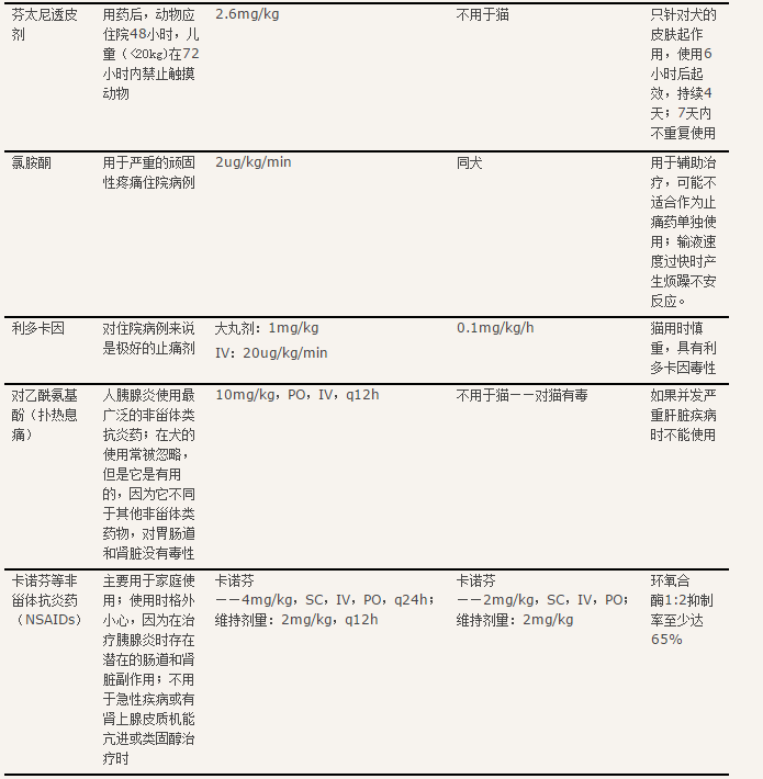 犬猫急性胰腺炎四治疗2
